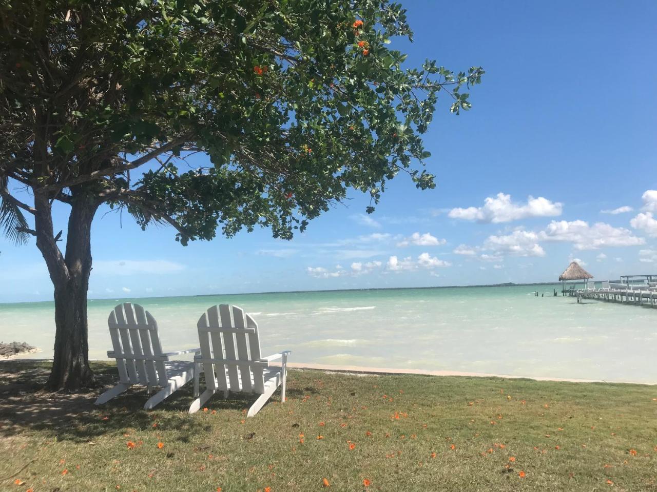 Tilt-Ta-Dock Resort Belize كوروزال المظهر الخارجي الصورة